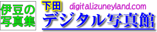 伊豆の写真集　下田デジタル写真館　ロゴ